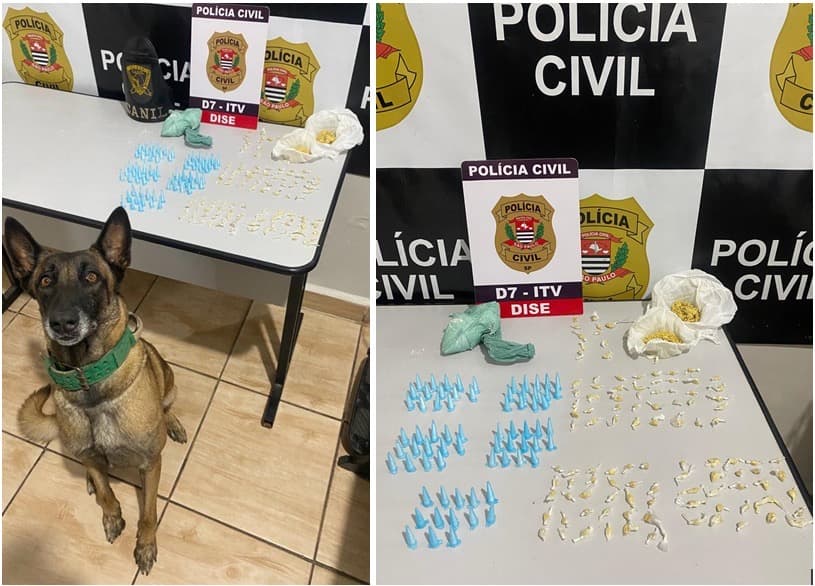 Dois irmãos são presos por tráfico de drogas durante operação da DISE no Jardim Virgínia, em Itapeva