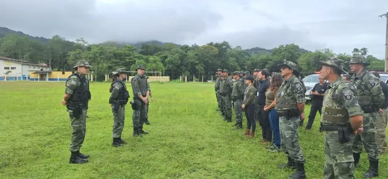 Foto Polícia ambiental / divulgação