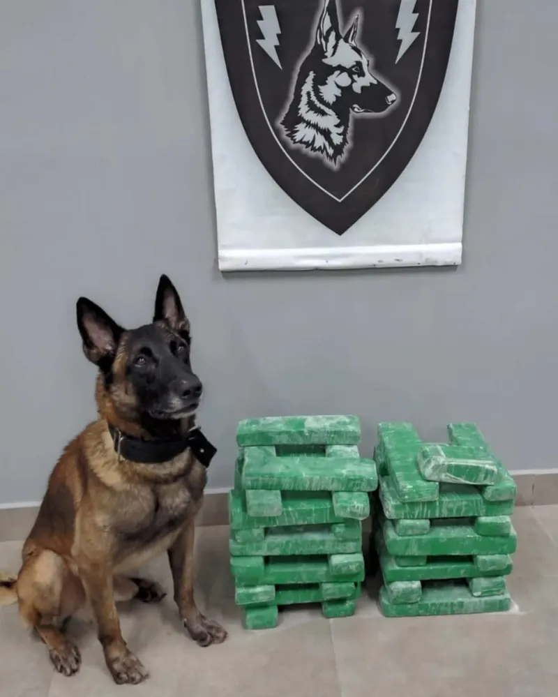 Foto GCM Itararé divulgação