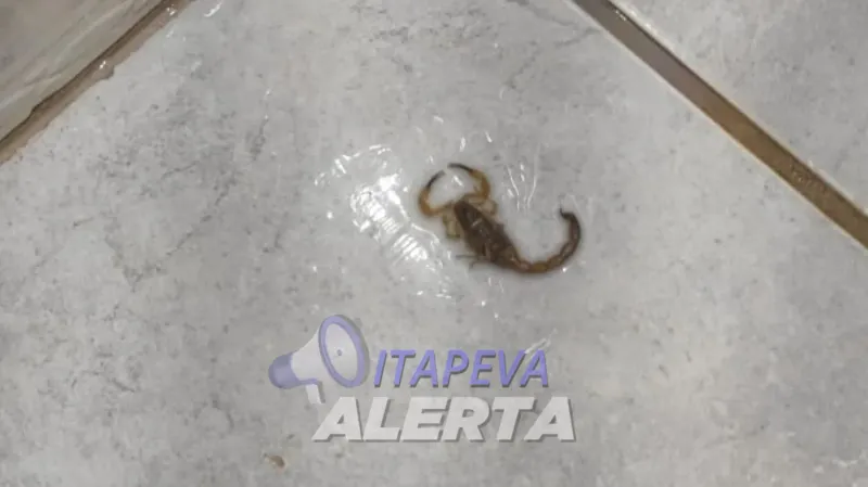 Foto arquivo pessoal
