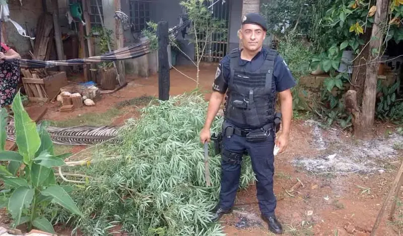 Foto GCM Itararé divulgação