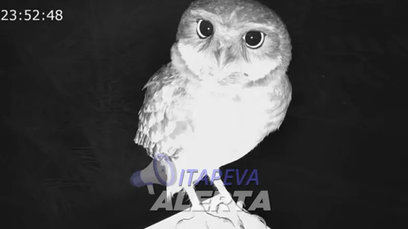 Foto CCR SPVias